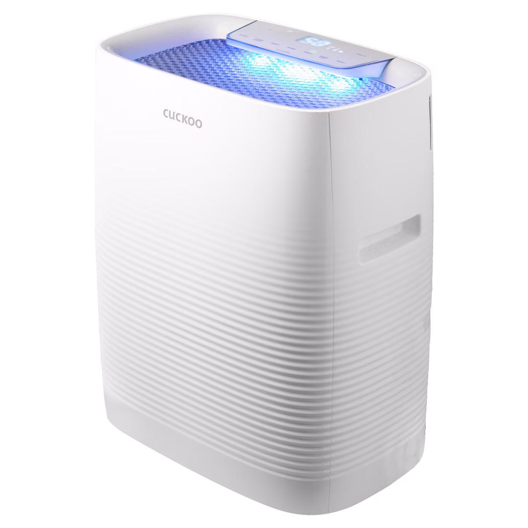 C-Model_2